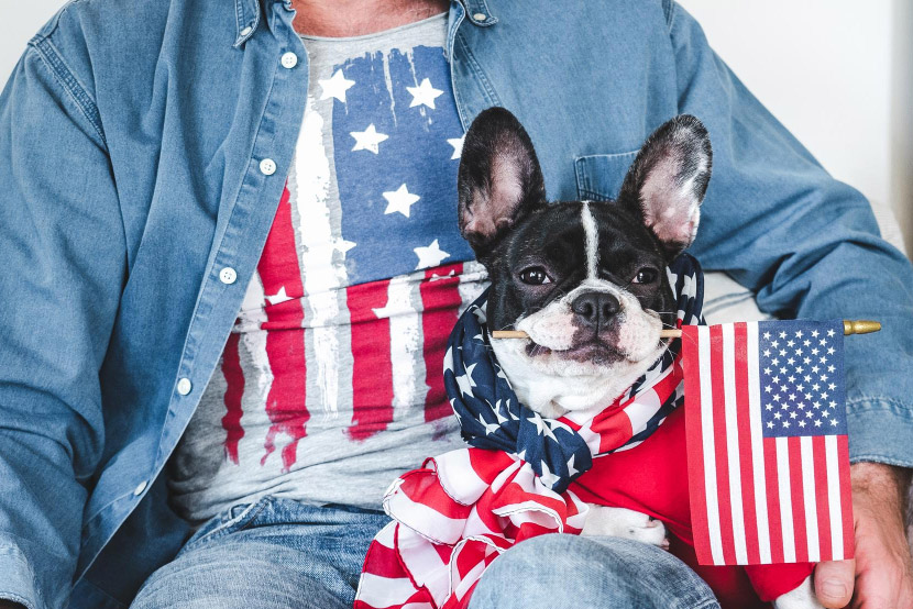 Helping Your Pet Find Calm During Fireworks and Summer Storms