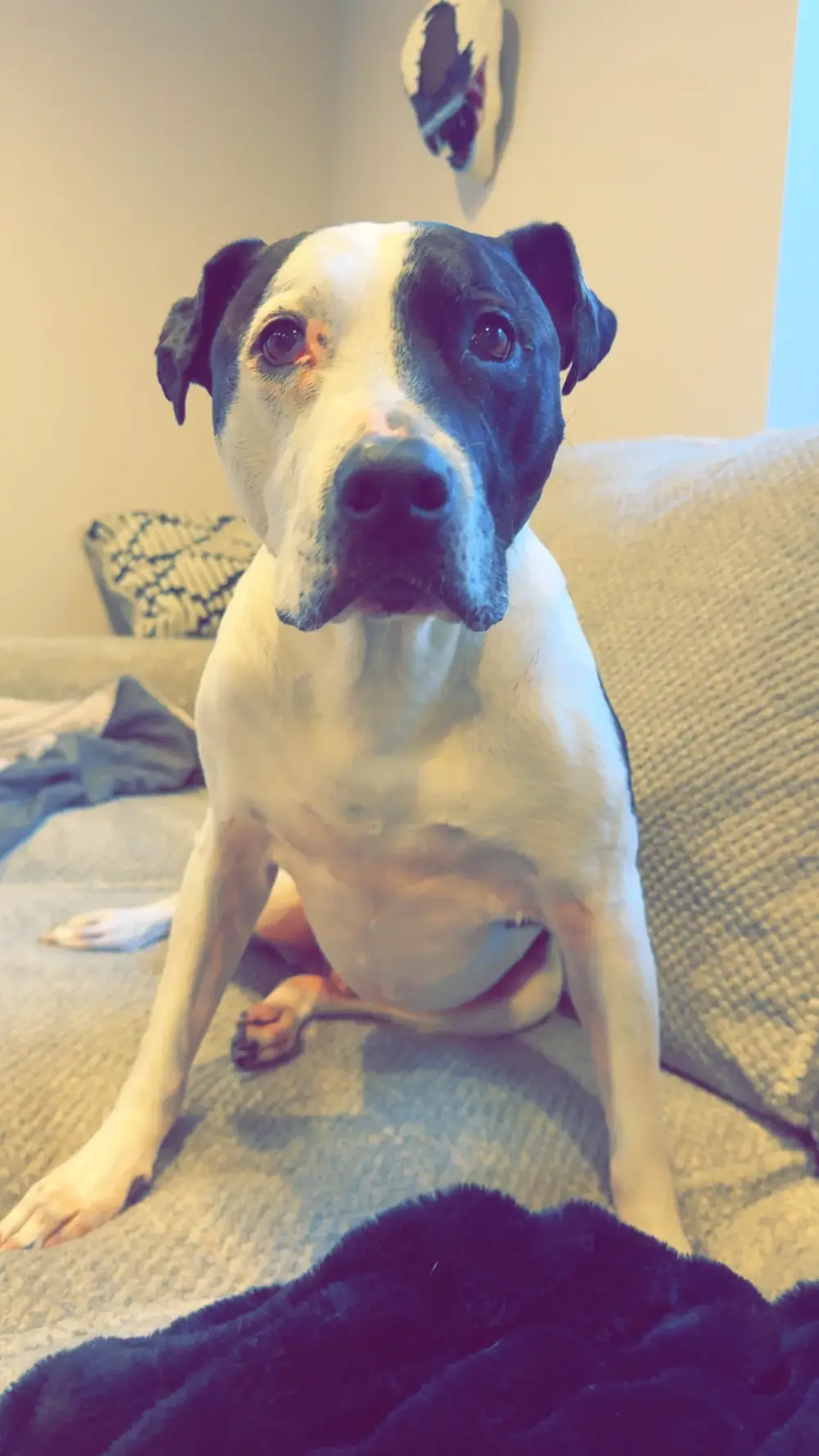 Jett