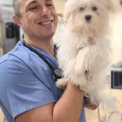 Dr. Marius Vasilescu, veterinarian at Herriman Pet Vet