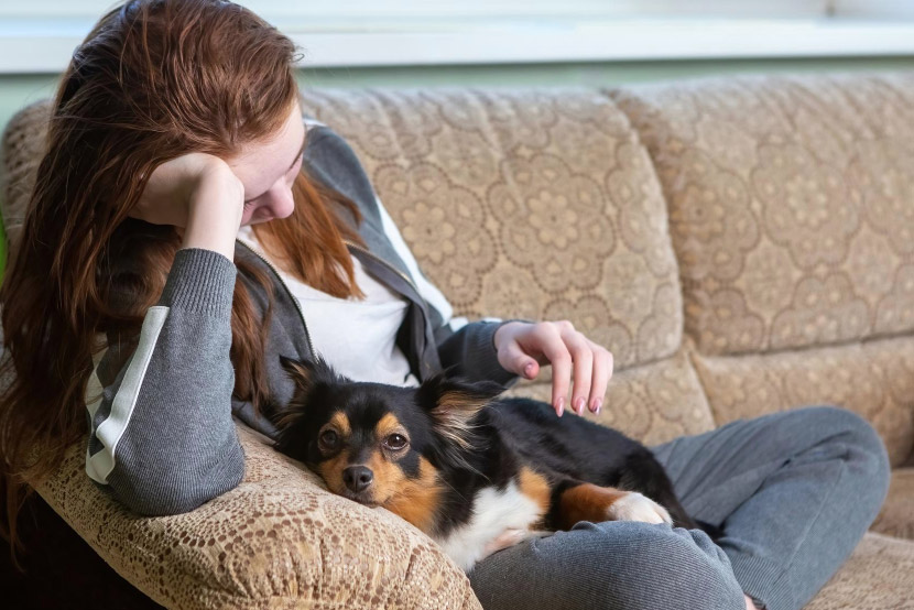 Pet Anxiety: Early Warning Signs Every Pet Owner Should Recognize