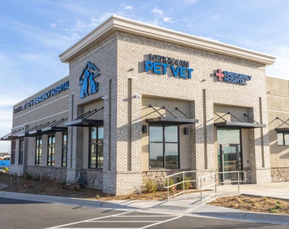 Emergency Pet Vet