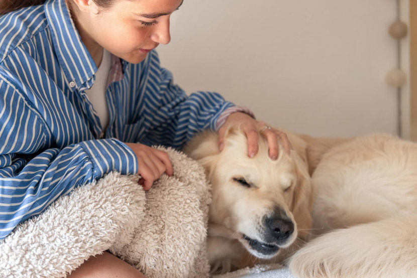 Itchy Skin, Paw Licking, and Ear Infections in Pets