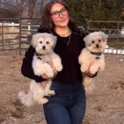 Raynee's dogs, Cash, Willie and Waylon