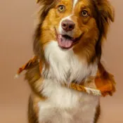 Shelbi with her Australian Shepherd puppy, Lottie