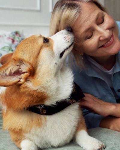 Veterinary service pricing chart for pets in Herriman, UT